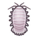 NH-Icon-giantisopod