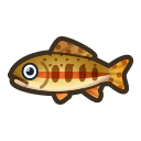 NH-Icon-goldentrout