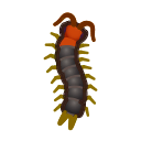 NH-Icon-centipede