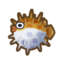 NH-Icon-pufferfish
