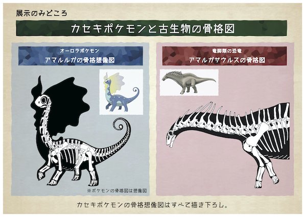 Japão: Museu Nacional de Natureza e Ciência anuncia parceria com