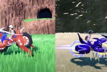 Pokémon - A evolução das montarias
