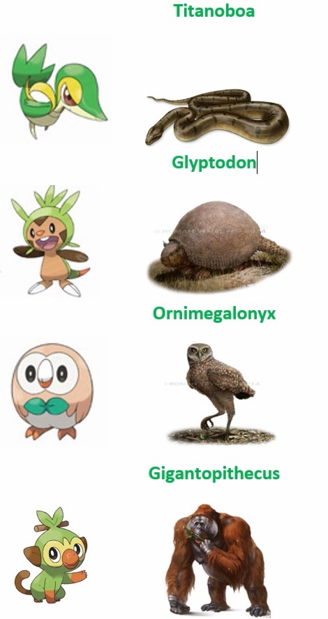 QUAIS POKÉMON MAIS POPULARES DOS TIPOS GRAMA FOGO E ÁGUA ?? 