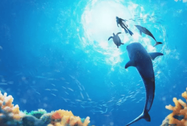Nintendo anuncia primeiro evento online para Endless Ocean: Luminous