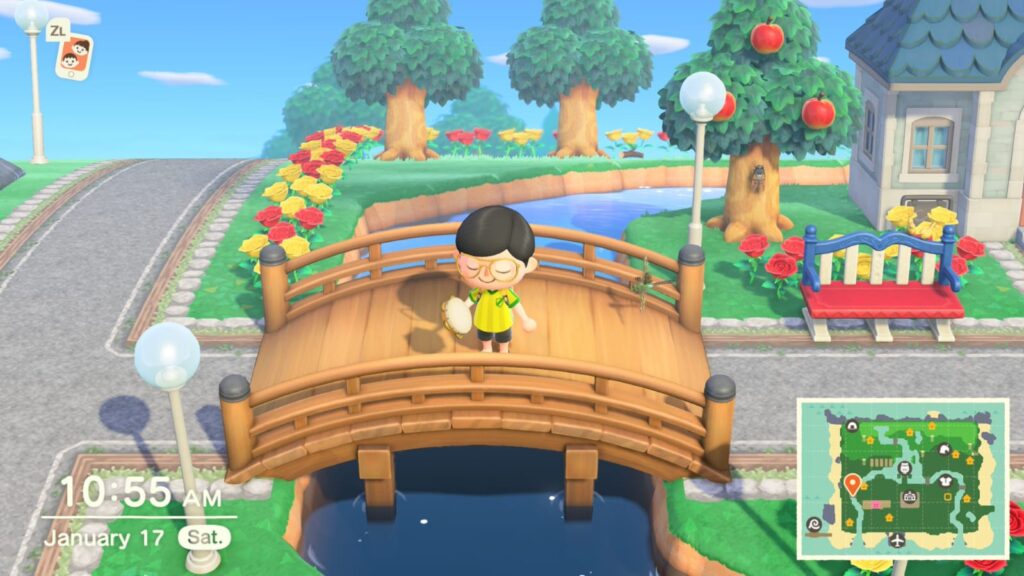 [Review] Animal Crossing: New Horizons - Nintendo Switch 2 Edition